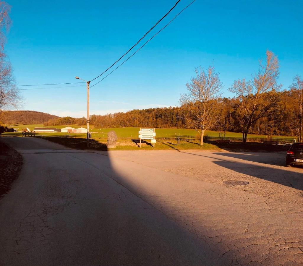 Gite D'Han Le Coin Han-sur-Lesse Εξωτερικό φωτογραφία